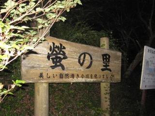 ホタルの鑑賞月間が始まります