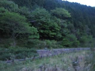 ホタルの鑑賞月間が始まります
