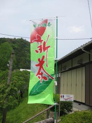 新茶が来ました