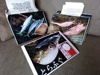 舞阪の自然パネルご活用ください　舞阪漁港の12か月・舞阪漁港の深海魚