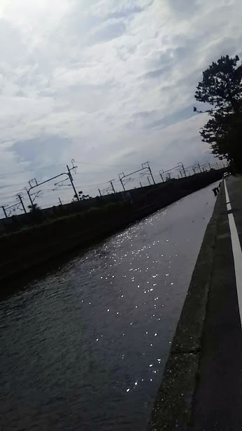 浜名湖・北弁天神社そばの川と新幹線線路