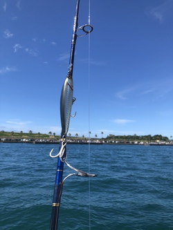 マグロアタックの話 マグロアタックの話