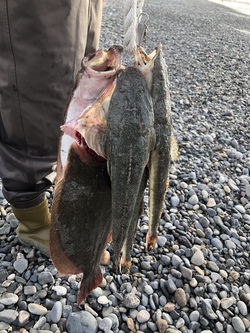 魚の入り口の話 魚の入り口の話