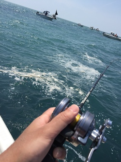 2ヶ月ぶりの釣りの話 2ヶ月ぶりの釣りの話