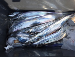 2ヶ月ぶりの釣りの話 2ヶ月ぶりの釣りの話