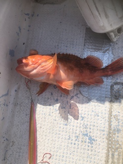 日サロ丸で日焼け狙いの話 日サロ丸で日焼け狙いの話