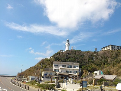 トウダイ