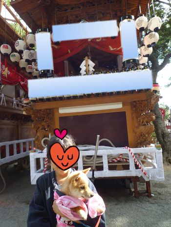 お祭り♪(*・ω・人)