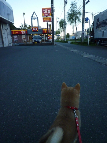 朝靄
