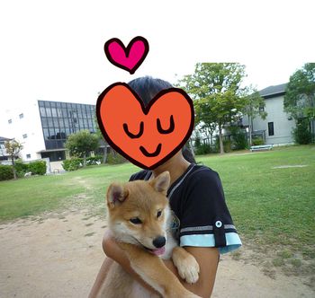 ブランコいいな
