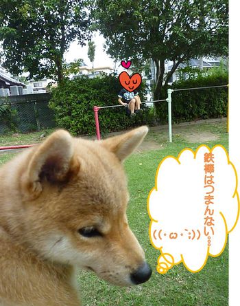 ブランコいいな