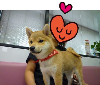 ワクチン接種へ行きました