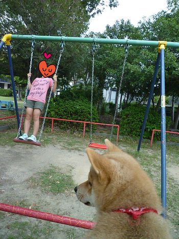 ブランコいいな
