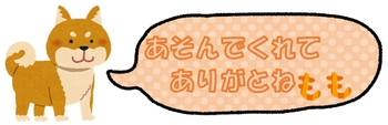 ご近所のわんちゃん