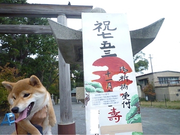 七五三気分♪