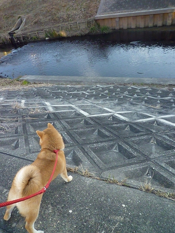 川