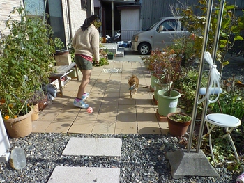 大はしゃぎ♪(*・ω・人)