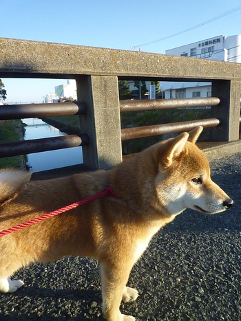 川