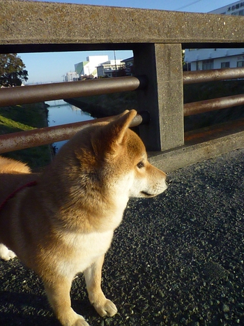 川