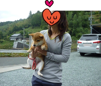 引佐の犬舎へシャンプーに