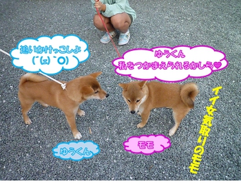 引佐の犬舎へ