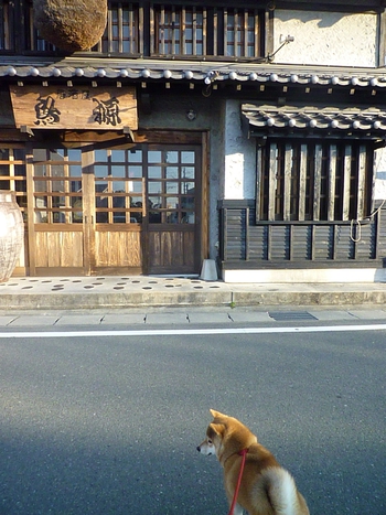 昨日の記事の続きです。