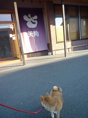 近所シリーズ 居酒屋さん♪