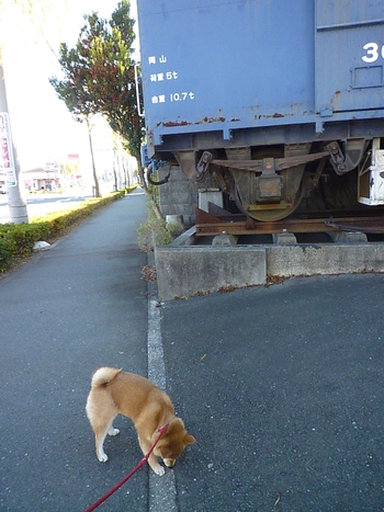 電車♪(*・ω・人)