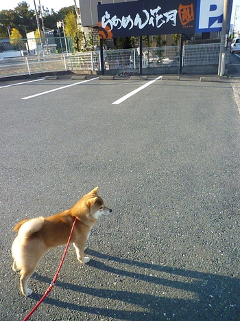 近所シリーズ