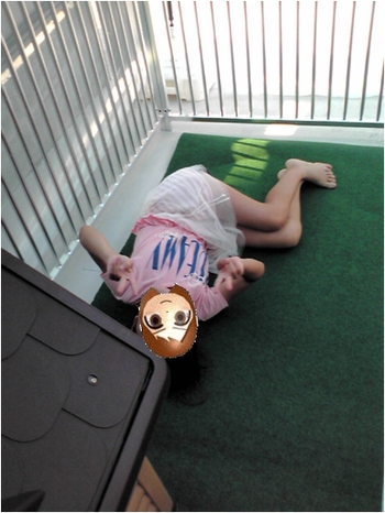蚊帳って ワンシーズン持ってくれるかな。。。