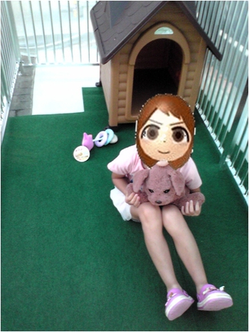 蚊帳って ワンシーズン持ってくれるかな。。。