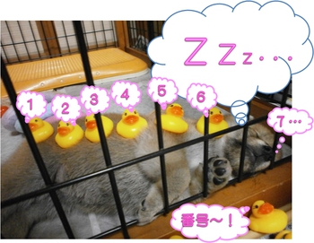 今日も元気いっぱいです。