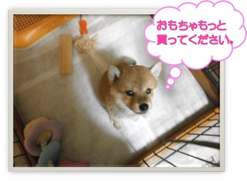 おねだり上手