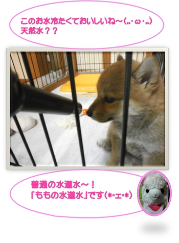 お水おいしいね♪
