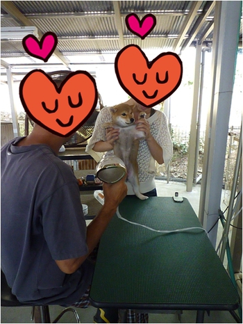 引佐へシャンプーに行きました