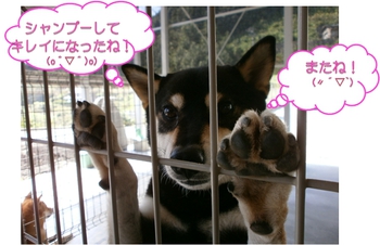 引佐へシャンプーに行きました