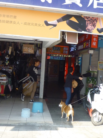 台北へ行って来ました(その5~柴犬編~)完結