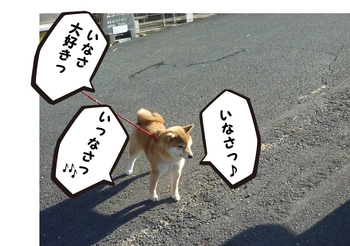 引佐の犬舎へシャンプーに