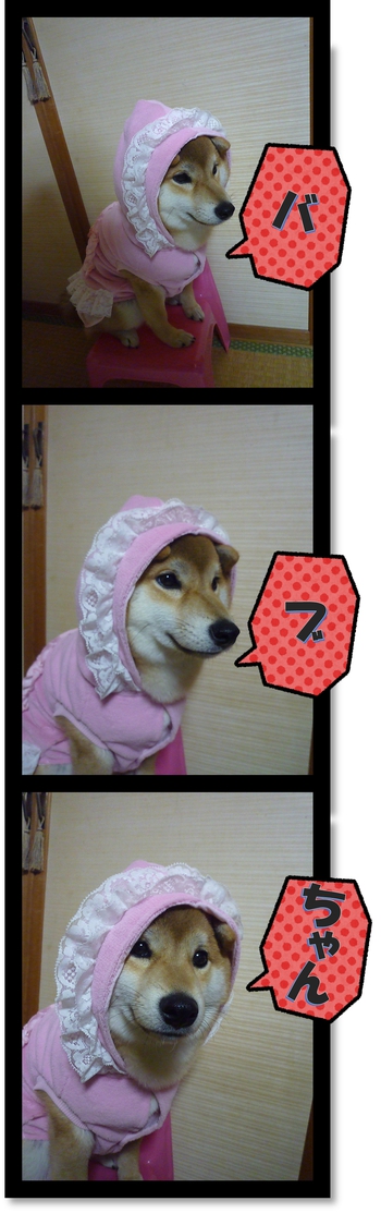 バブちゃん(*´・ェ・`*)