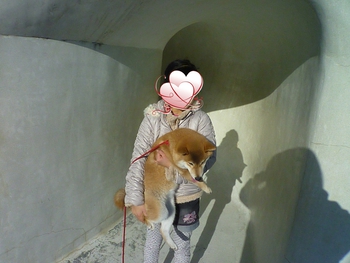 巻貝の滑り台