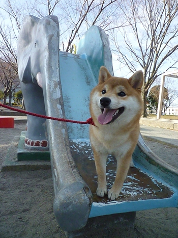 ぞうさん♪