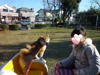 雲の乗り物