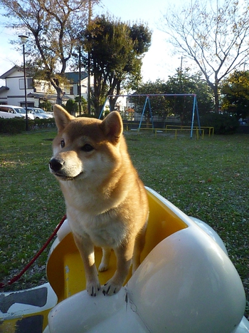 雲の乗り物