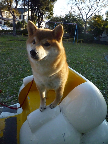 雲の乗り物
