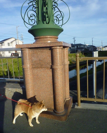 お散歩♪