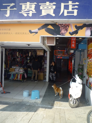 台北へ行って来ました(その5~柴犬編~)完結