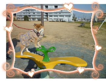 公園大好き(〃´∀`〃)