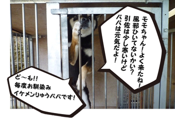 引佐の犬舎へシャンプーに