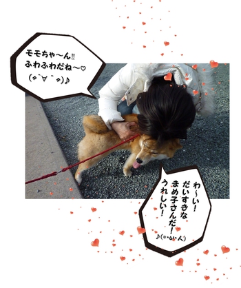 引佐の犬舎へシャンプーに
