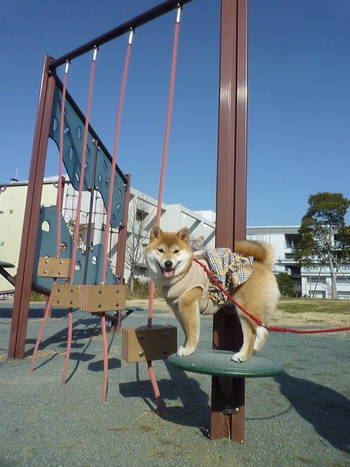 まばたき♪